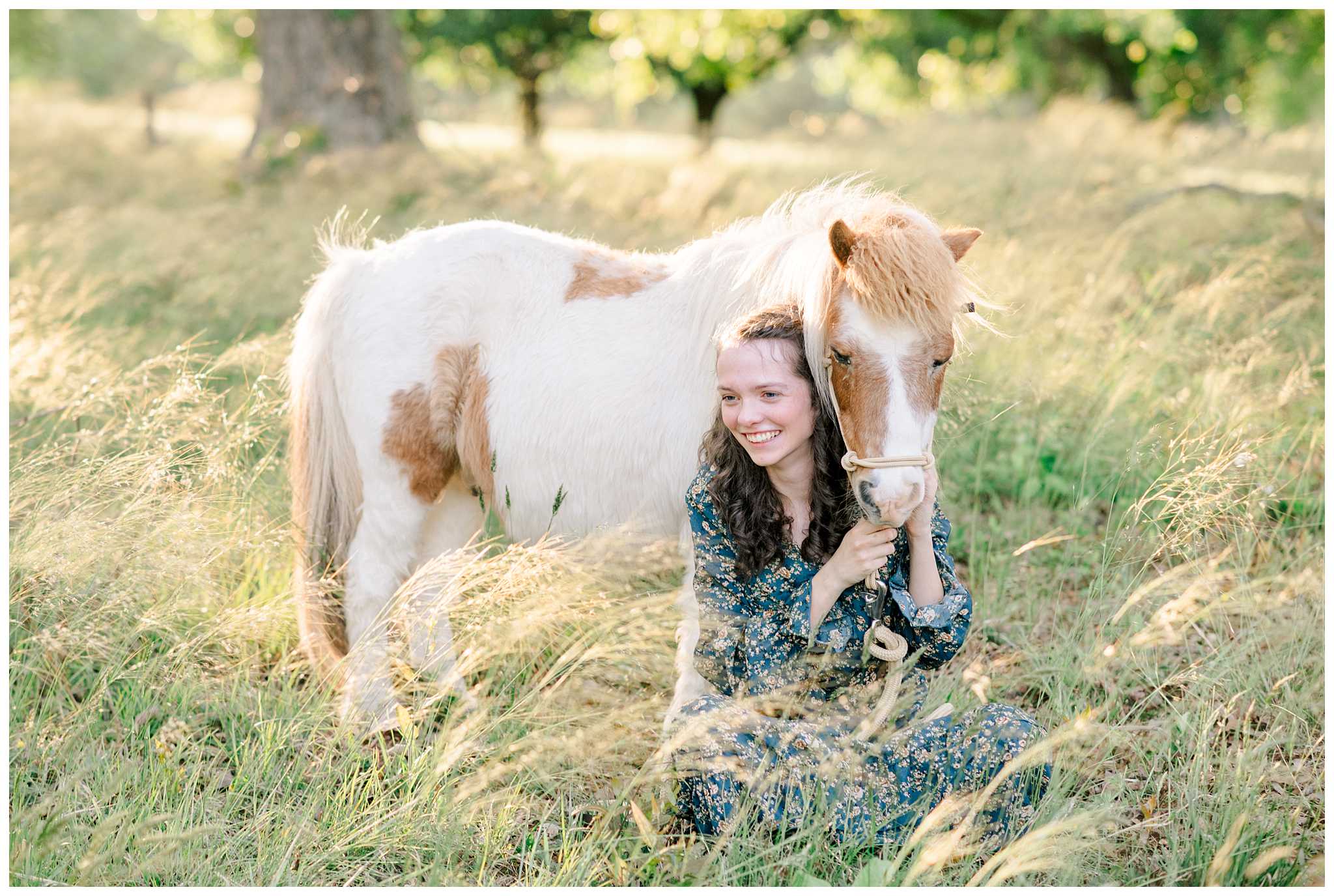 Mini horse photoshoot
